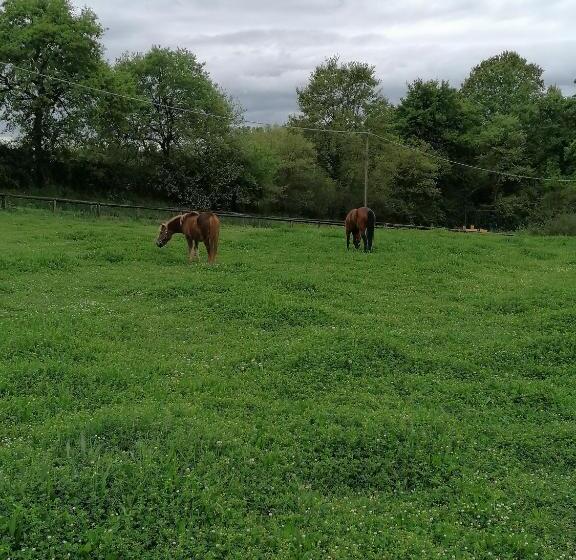 בית מלון כפרי Le Vecchie Scuderie