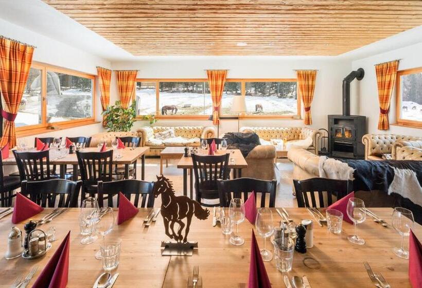 فندق Reitstall Und Saloon San Jon