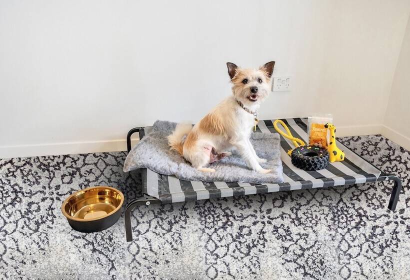 בית מלון כפרי Roomie Apartment