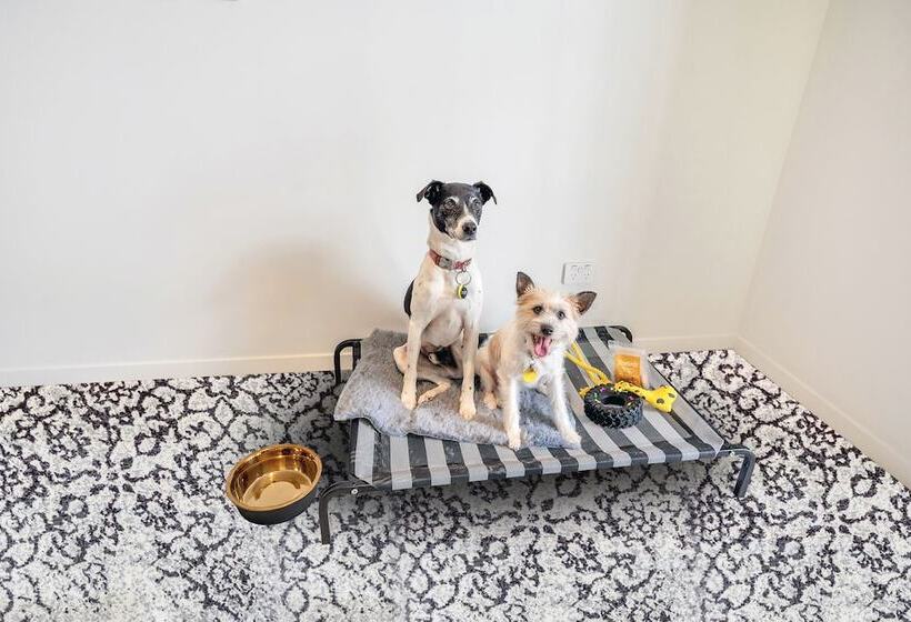 בית מלון כפרי Roomie Apartment