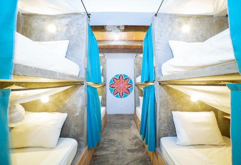 پانسیون Freesoul Hostel