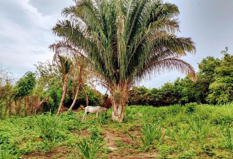 پانسیون Freesoul Hostel