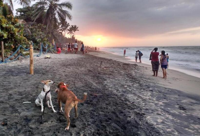 פנסיון Freesoul Hostel