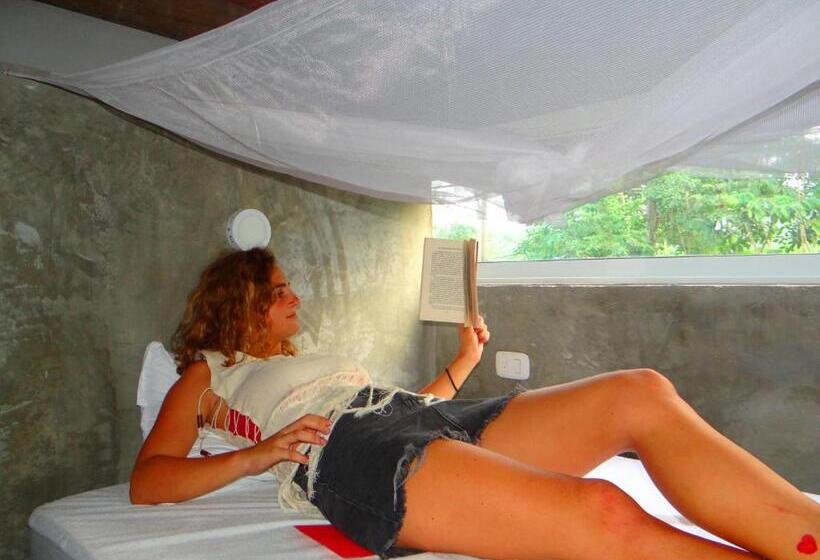 פנסיון Freesoul Hostel