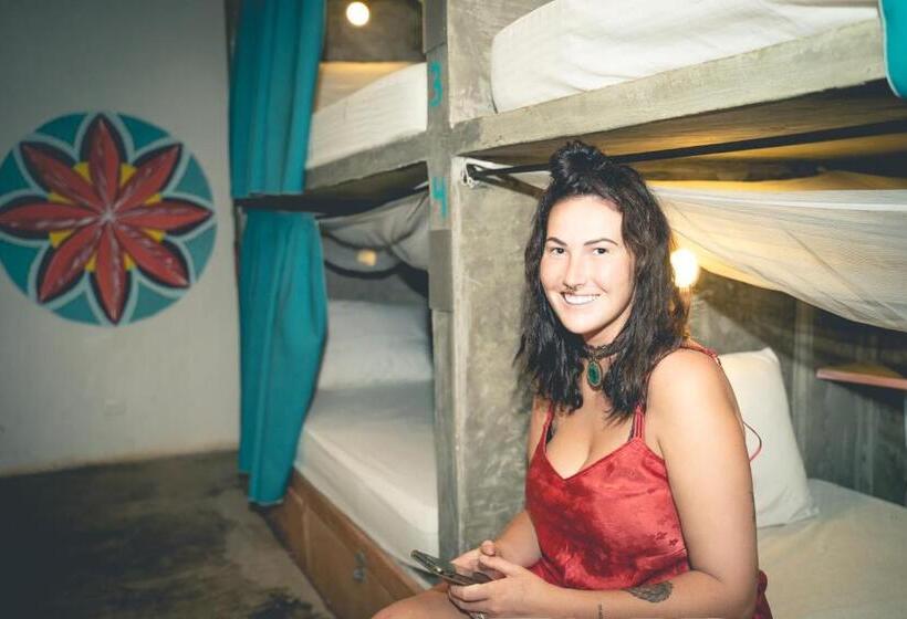 פנסיון Freesoul Hostel