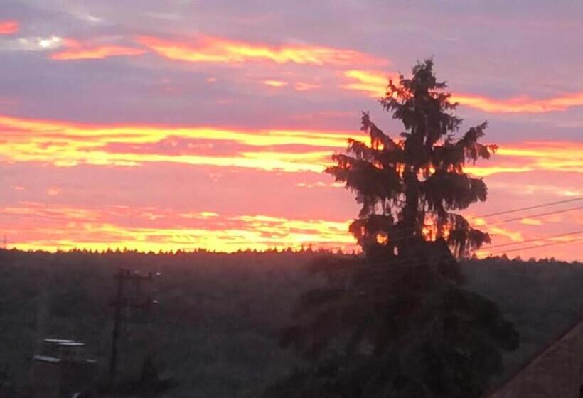 膳宿费 Gästehaus Residenz Aurora