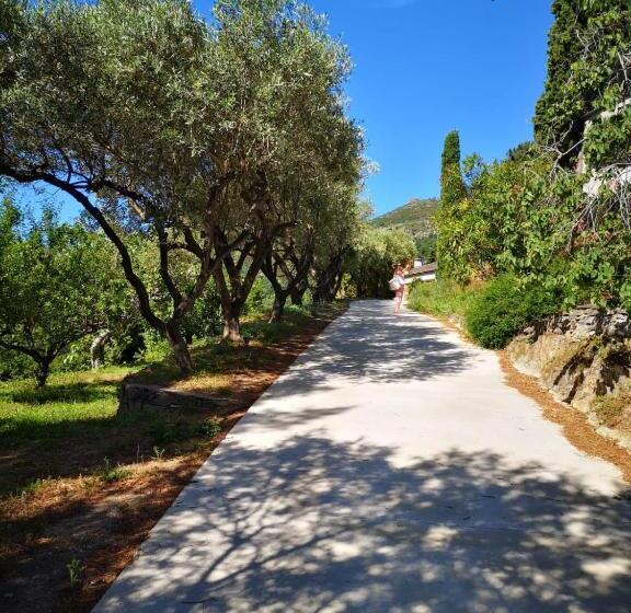 Пансион Villa Milanu