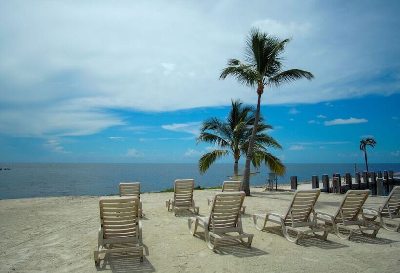 Ragged Edge Resort & Marina