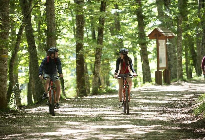 B&b Home Sweet Home   Affitti Brevi Italia