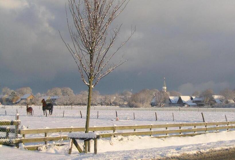 צימר De Stormvogel