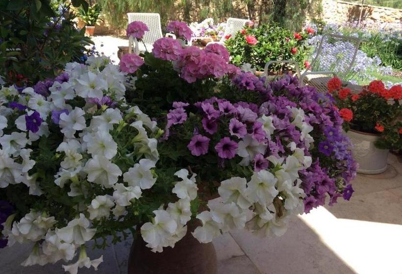 مبيت وإفطار La Casa De Piedra