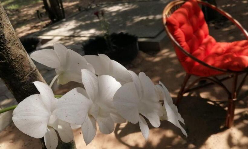 住宿加早餐  La Maison Des Bambous Lmdbsr