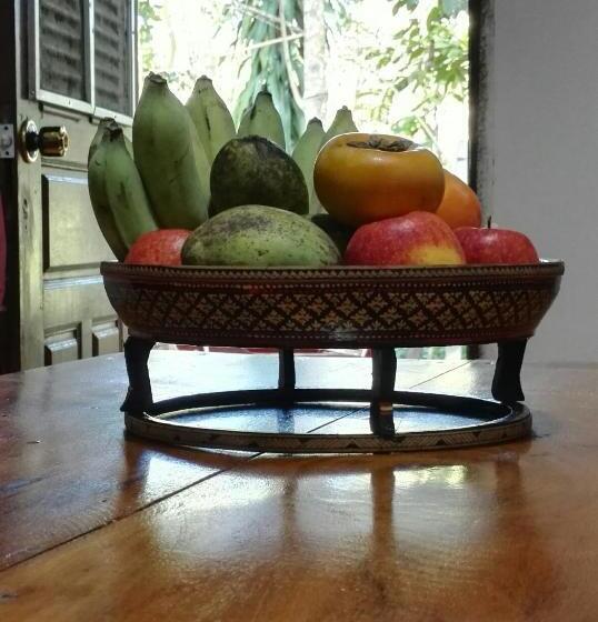 Bed and Breakfast La Maison Des Bambous Lmdbsr