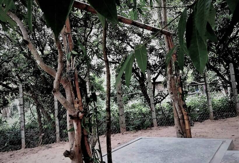 住宿加早餐 La Maison Des Bambous Lmdbsr