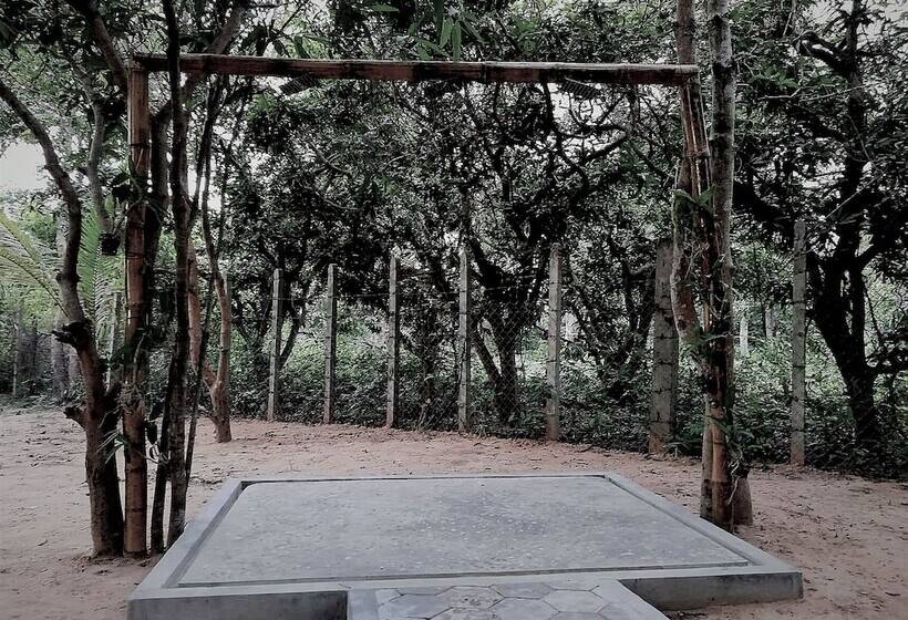 住宿加早餐 La Maison Des Bambous Lmdbsr