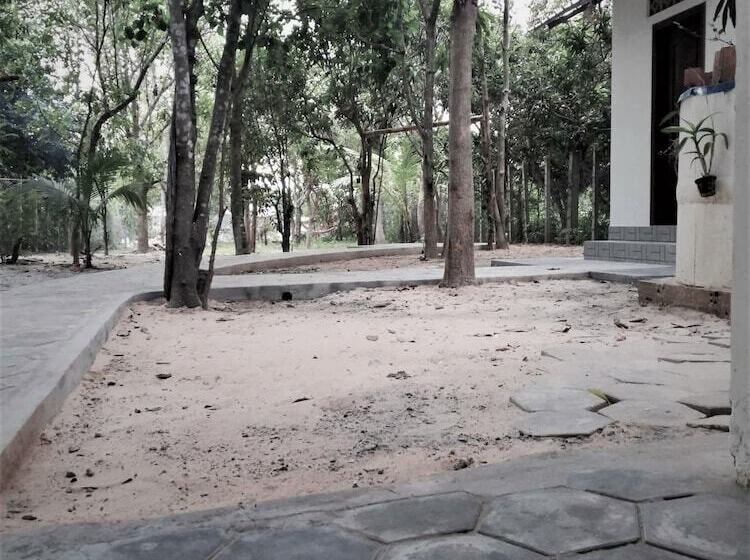 住宿加早餐 La Maison Des Bambous Lmdbsr