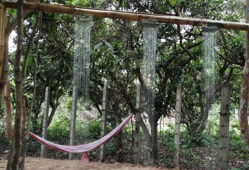 住宿加早餐 La Maison Des Bambous Lmdbsr