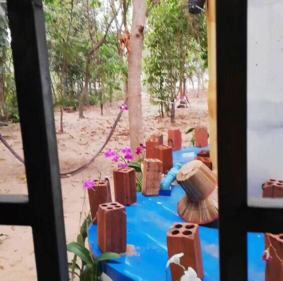 Bed and Breakfast La Maison Des Bambous Lmdbsr