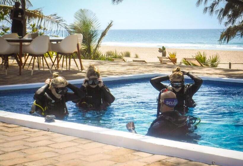 Bed and Breakfast Liquid Dive Adventures