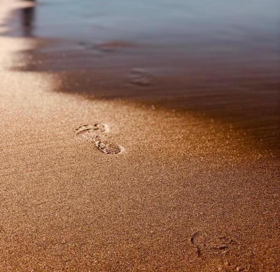 Bed and Breakfast Liquid Dive Adventures