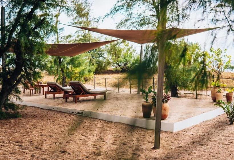 Bed and Breakfast Liquid Dive Adventures