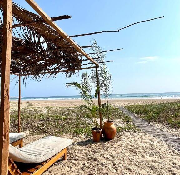 Bed and Breakfast Liquid Dive Adventures