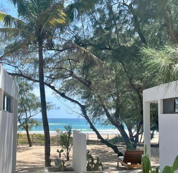 Bed and Breakfast Liquid Dive Adventures