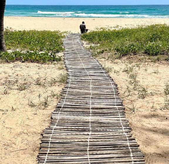 Bed and Breakfast Liquid Dive Adventures