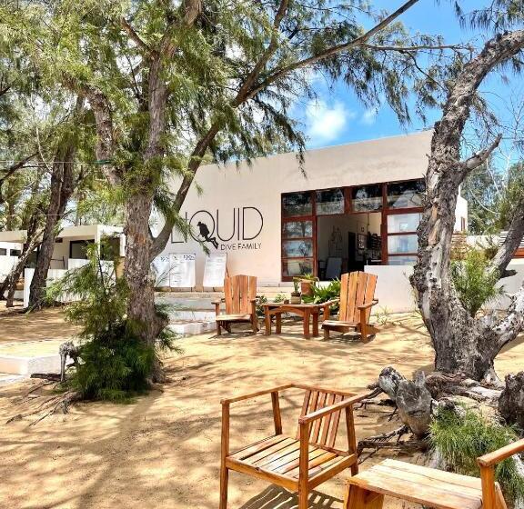 Bed and Breakfast Liquid Dive Adventures