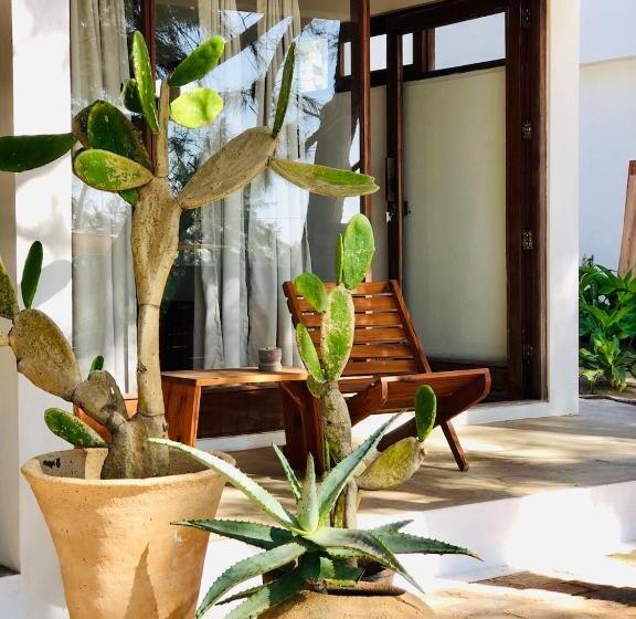 Bed and Breakfast Liquid Dive Adventures