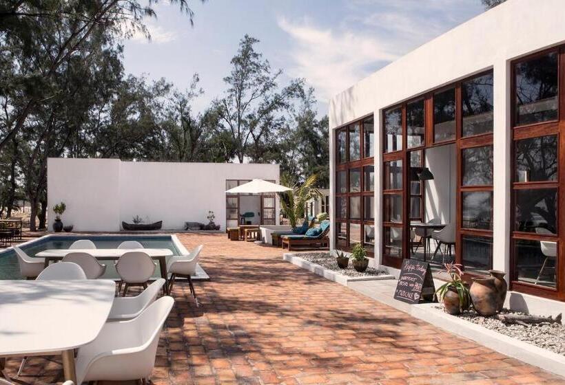 Bed and Breakfast Liquid Dive Adventures