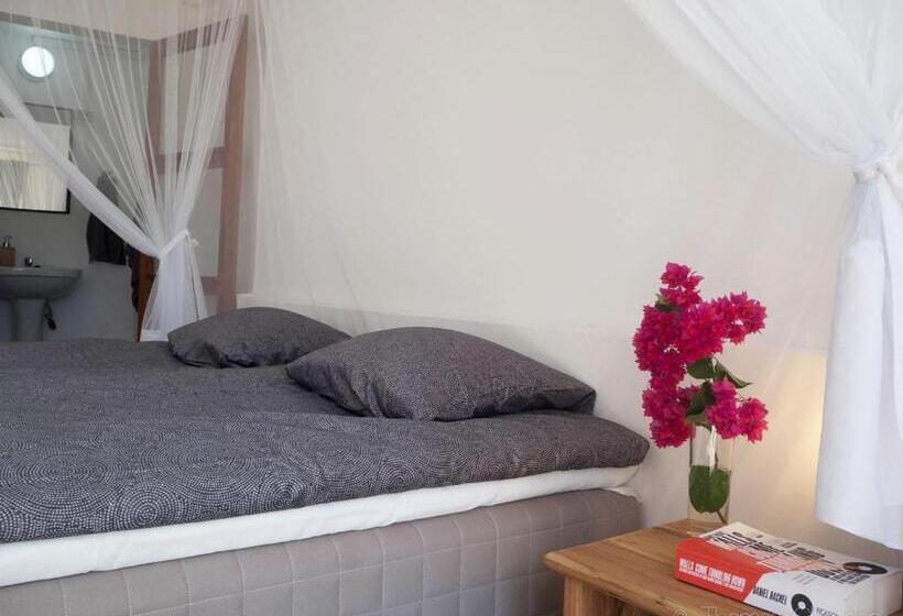 Bed and Breakfast Liquid Dive Adventures