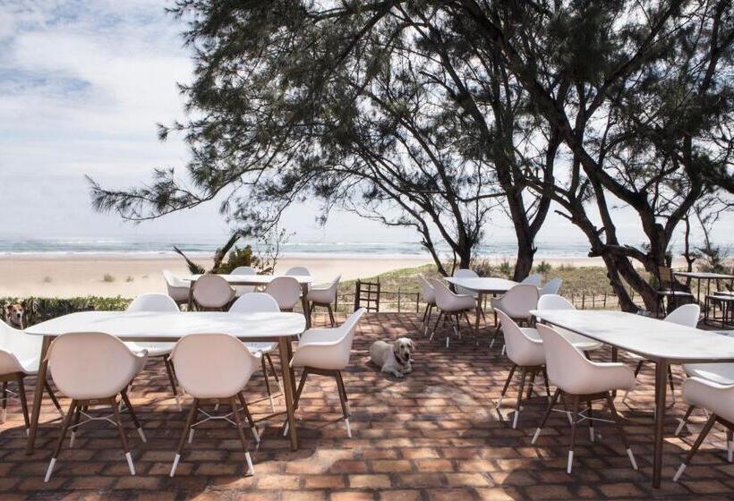 Bed and Breakfast Liquid Dive Adventures