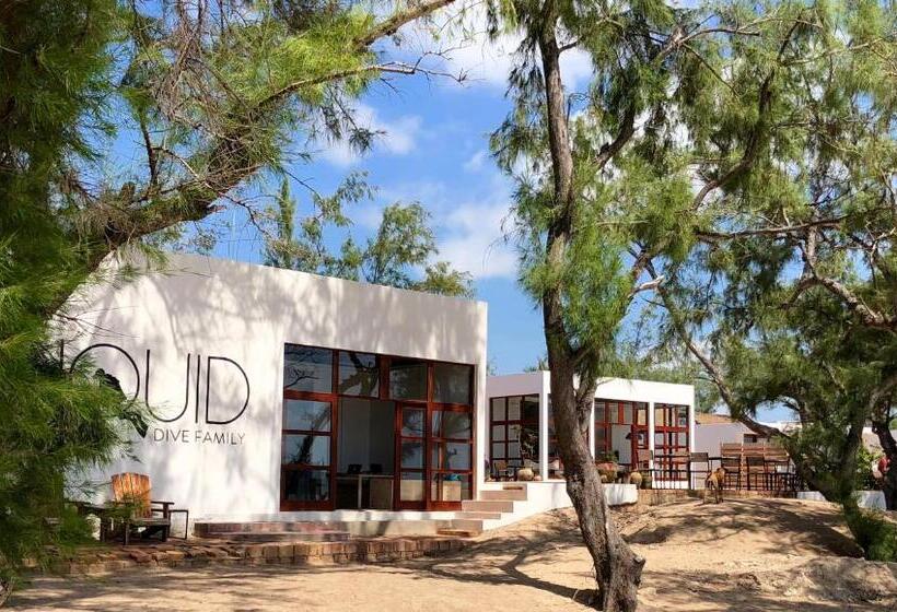 Bed and Breakfast Liquid Dive Adventures