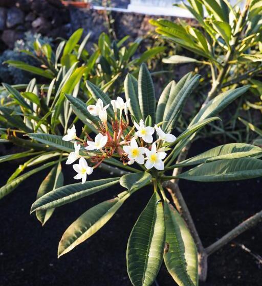 민박 Mana Ecoretreat