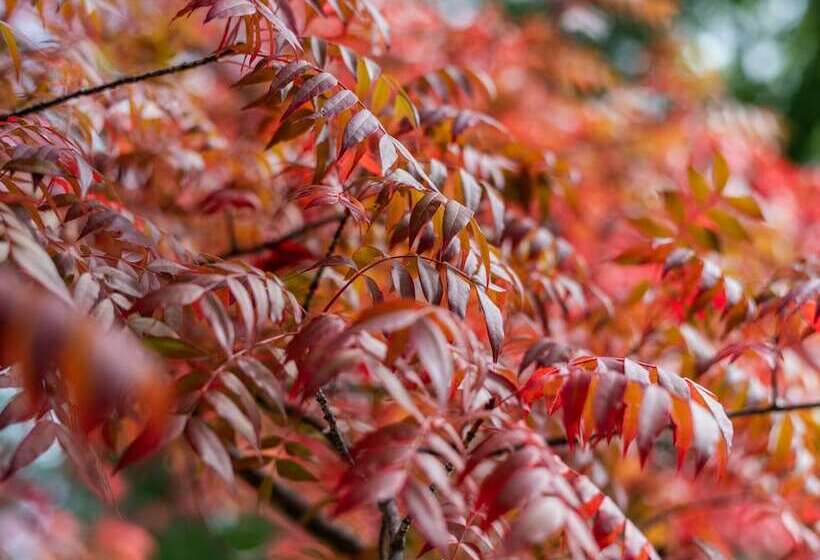 호텔 Inn At Sugar Pine Ranch