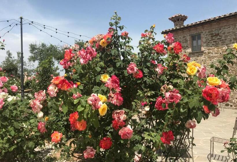 Отель Podere Paradiso