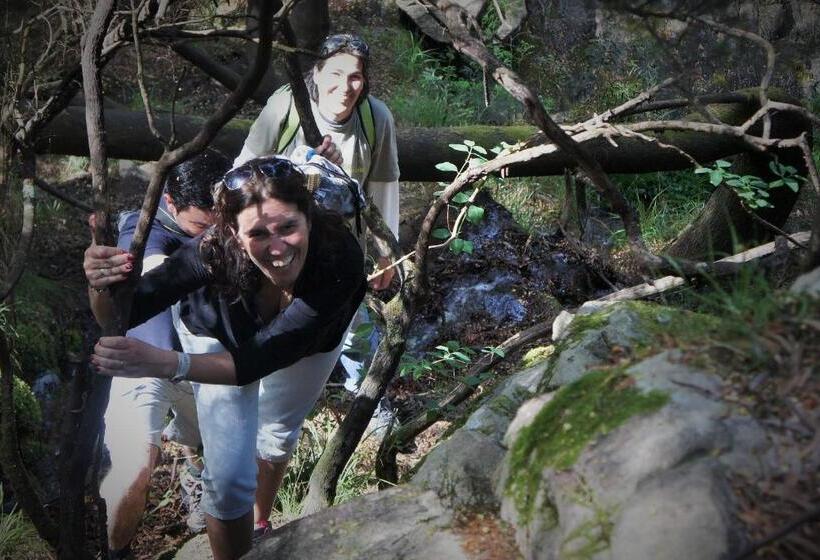 Отель Quintinha D`arga