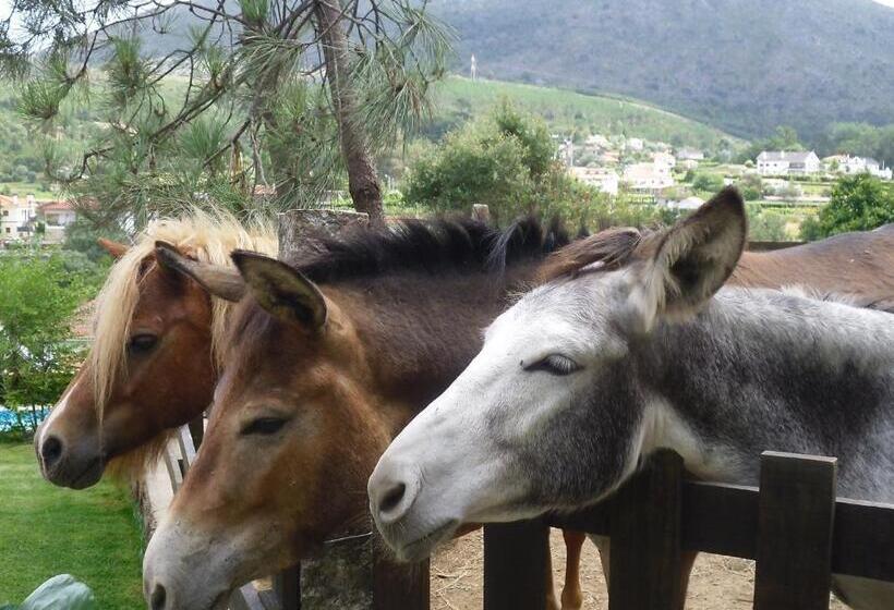 Отель Quintinha D`arga