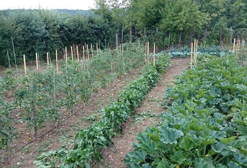 פנסיון Paysannerie Des Versanes   Chambres Et Gîte