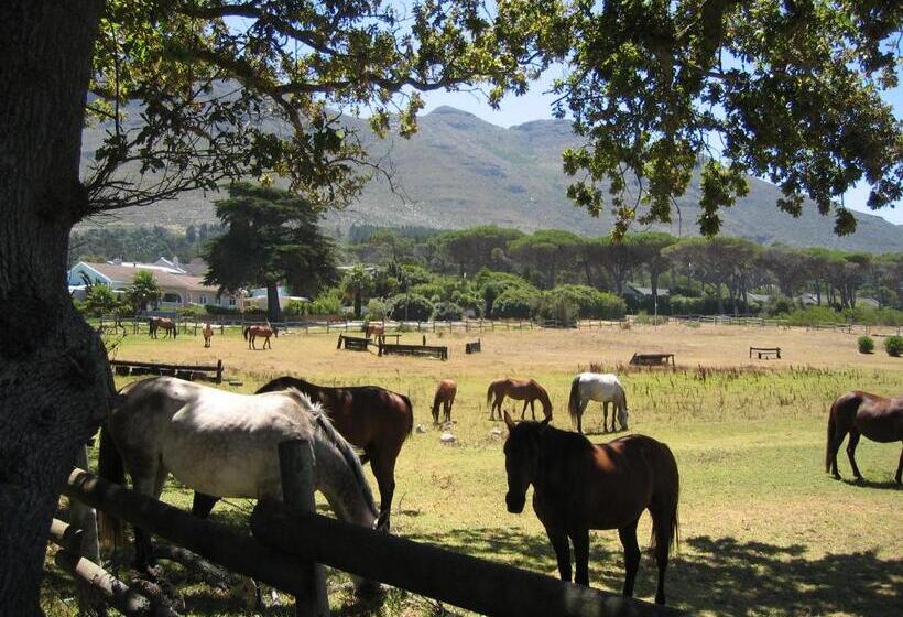 بنسيون Sacred Mountain Lodge