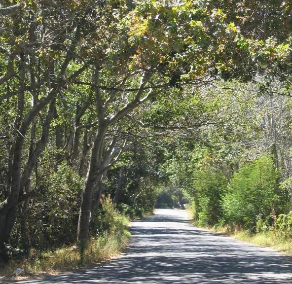 بنسيون Sacred Mountain Lodge