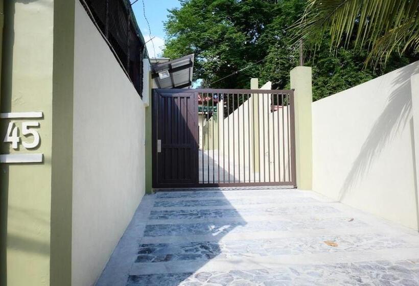 پانسیون The Leaf House