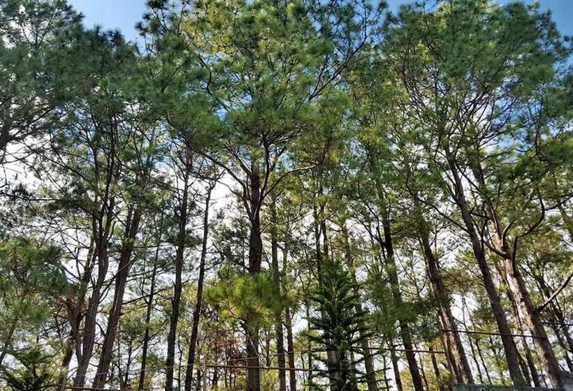 4f8 Princeton Bldg North Cambridge Condo