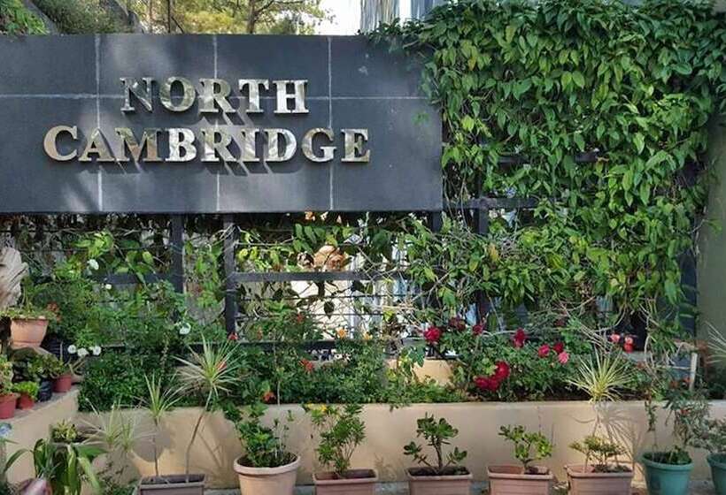 4f8 Princeton Bldg North Cambridge Condo