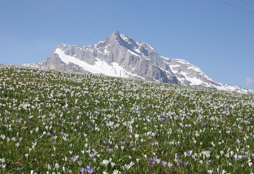 Хостел Albergo Diffuso Sauris In Sauris Di Sopra