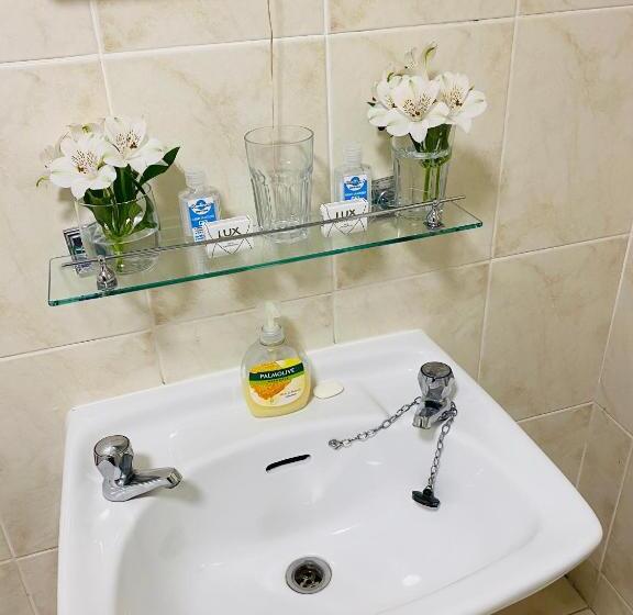 مبيت وإفطار The Mallards