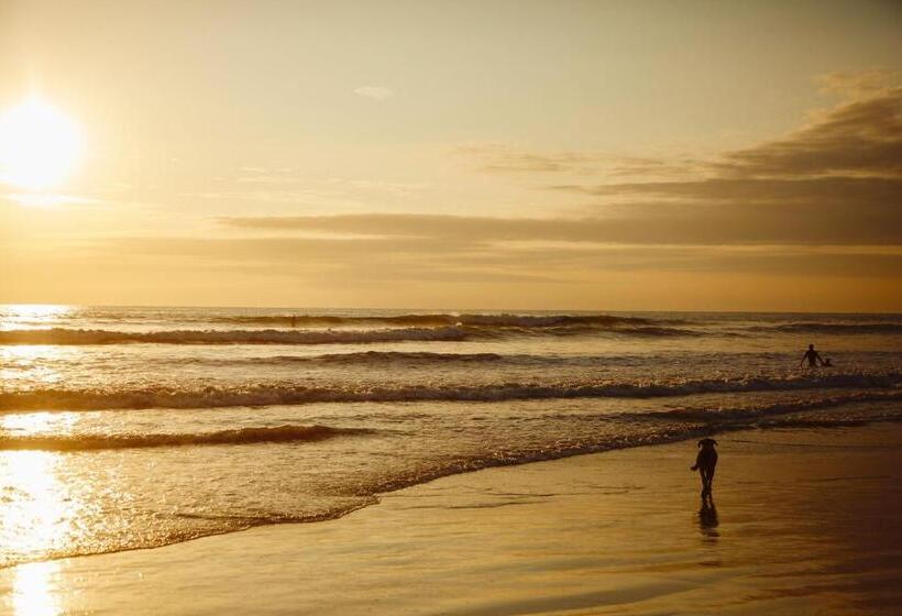 تختخواب و صبحانه Vikara