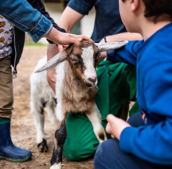 בית מלון כפרי Agriturismo Le Due Querce