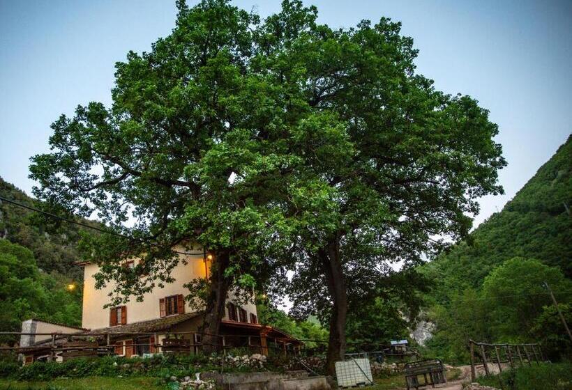 בית מלון כפרי Agriturismo Le Due Querce
